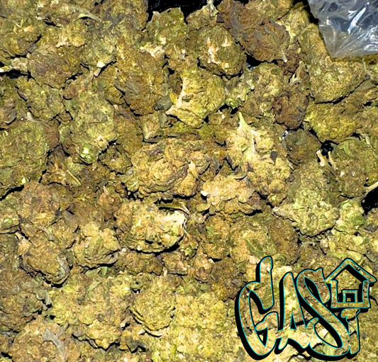 Jungle Gelato - (Indica)